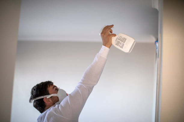 Best Black Mold Remediation in Encantada Ranchito El Calaboz, TX