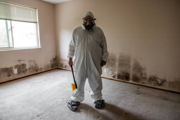 Best DIY Mold Remediation Support Services in Encantada Ranchito El Calaboz, TX